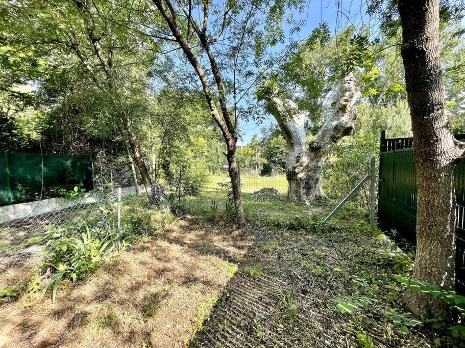 Apartment Ravissant A 5min Du Centre D'aix Aix-en-Provence